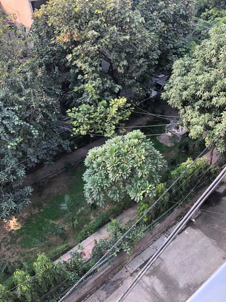 Garden, tagore garden 2 Bedroom 160 Sq.Yd. Builder Floor In Tagore Garden Delhi 8684224