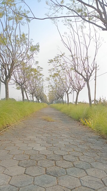 Plot – Garden View at Sanwer Road Industrial Area - for Sale