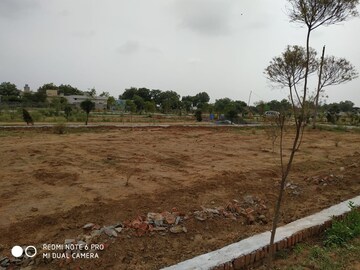 Plot Area in  Plot at Sector 142 – for Sale