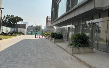 Shop For Rent in Sector 29