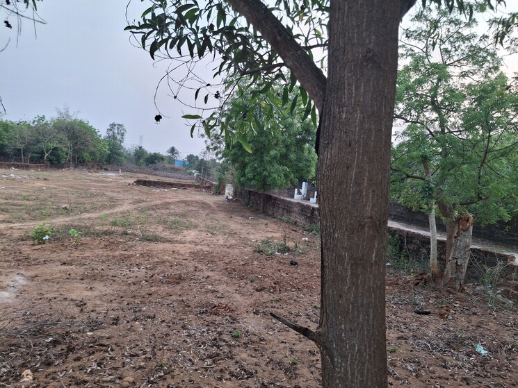 Exterior View, tamando 3.5 Bedroom 1740 Sq.Ft. Apartment In Tamando Bhubaneswar 8684439