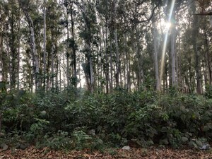 Plot Area in  Plot at Ecotech 11 Greater Noida – for Sale