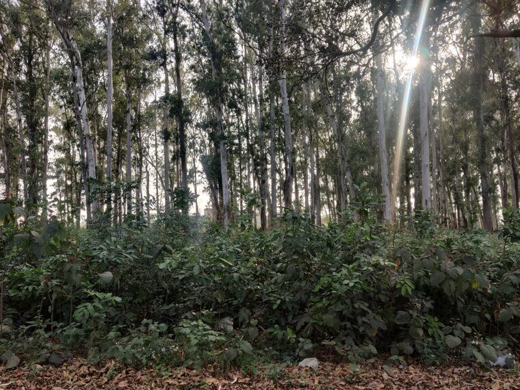 undefined, ecotech 11 greater noida  60 Sq.Yd. Plot In Ecotech 11 Greater Noida Greater Noida 8684775