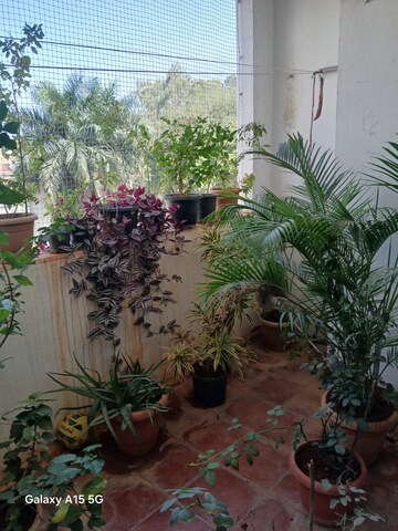 Balcony in 2 BHK Apartment at Prestige Palms, Whitefield – for Sale