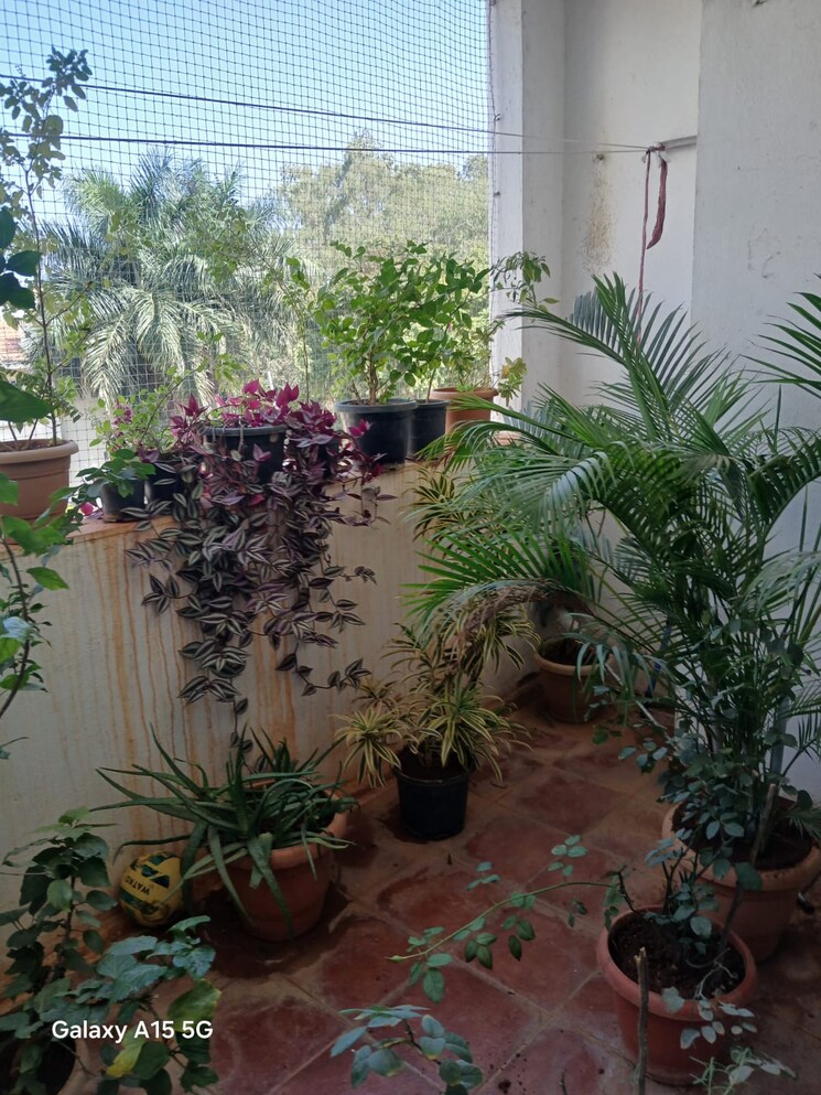 Balcony, prestige-palms 2 Bedroom 1263 Sq.Ft. Apartment In Whitefield Bangalore 8685308