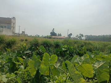  Plot For Sale in International Airport Road
