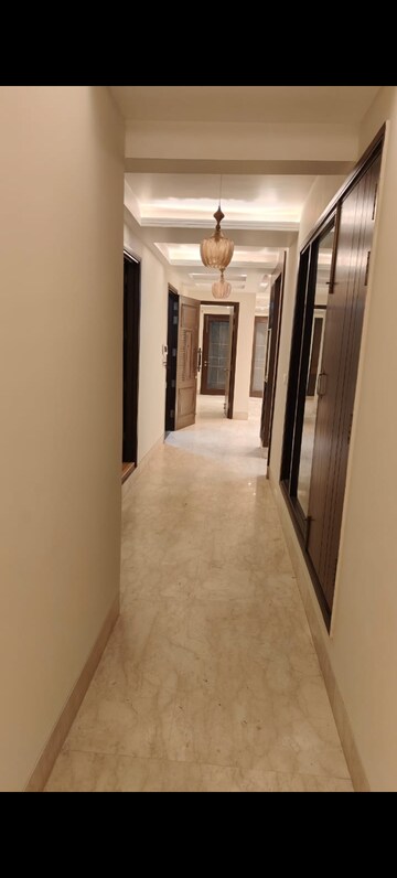 3.5 BHK Builder Floor For Rent in Sarvodaya Enclave