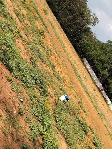  Plot – Exterior View View at Nanjikottai - for Sale