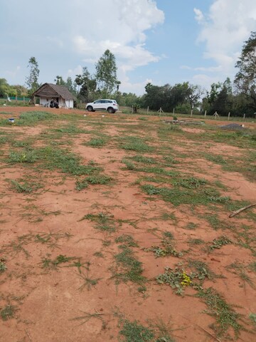 Plot Area in  Plot at Nanjikottai – for Sale