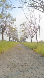 1130 Sq.Ft. Plot in Mgr Princess Hilltop