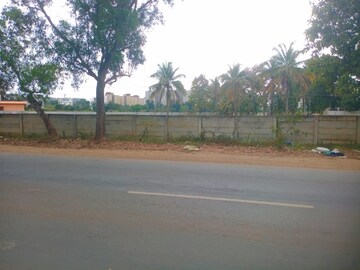  Plot For Sale in Narsapura