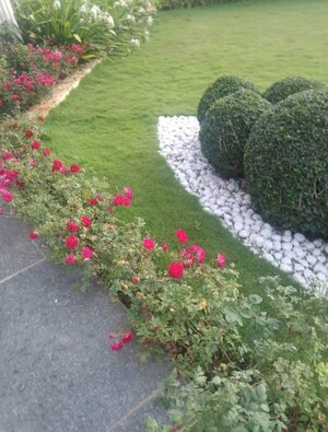 4 BHK Apartment – Garden View at Osman Nagar - for Sale