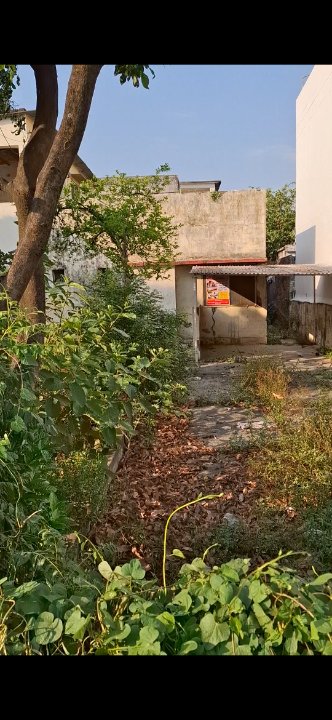 Plot For Sale in Laxman Chowk