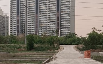 Plot For Sale in Sector 144