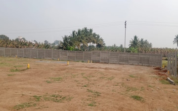 Plot For Sale in Pollachi