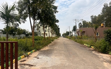 Plot For Sale in Vidya Nagar