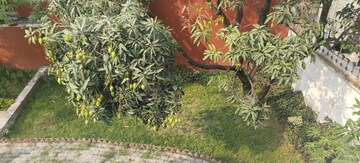  Pg – Entrance View at Ajabpur Kalan - for Rent