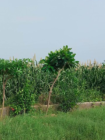 Plot Area in  Plot at Nh 58 – for Sale
