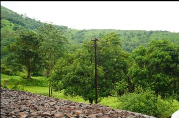 Plot Area in  Plot at Velhe – for Sale
