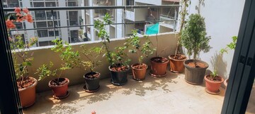 Living Room in 3 BHK Apartment at Rohan Abhilasha, Wagholi – for Rent