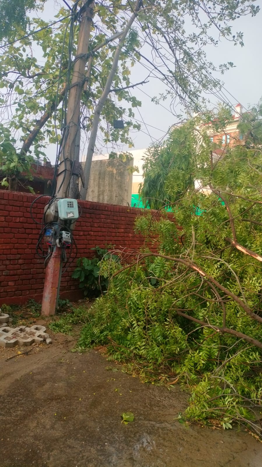 3 BHK + Extra Room Independent House For Sale in Sector 19