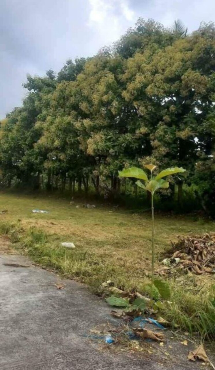 undefined, ramohalli  1200 Sq.Ft. Plot In Ramohalli Bangalore 8687609