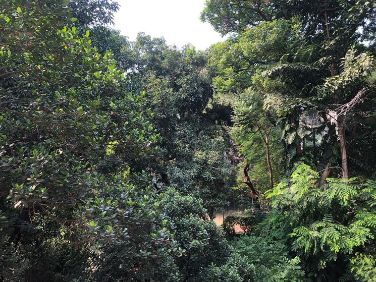 Garden, bandra west 4 Bedroom 2200 Sq.Ft. Apartment In Bandra West Mumbai 8687612