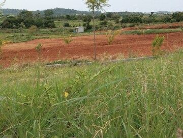 Plot Area in  Plot at Denkanikotta rd – for Sale