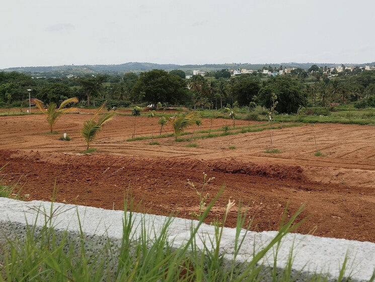 undefined, denkanikotta rd  10000 Sq.Ft. Plot In Denkanikotta rd Hosur 8687685