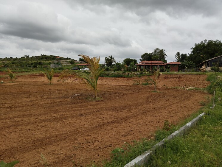 undefined, denkanikotta rd  10000 Sq.Ft. Plot In Denkanikotta rd Hosur 8687685