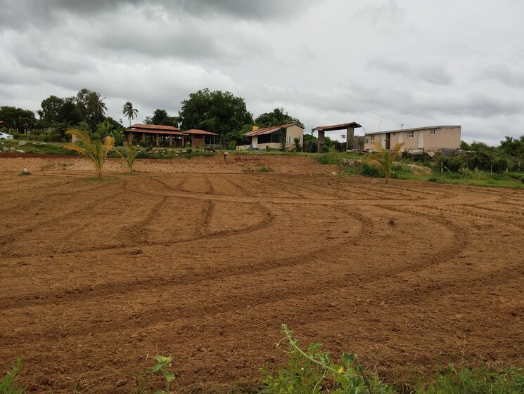 undefined, denkanikotta rd  10000 Sq.Ft. Plot In Denkanikotta rd Hosur 8687685