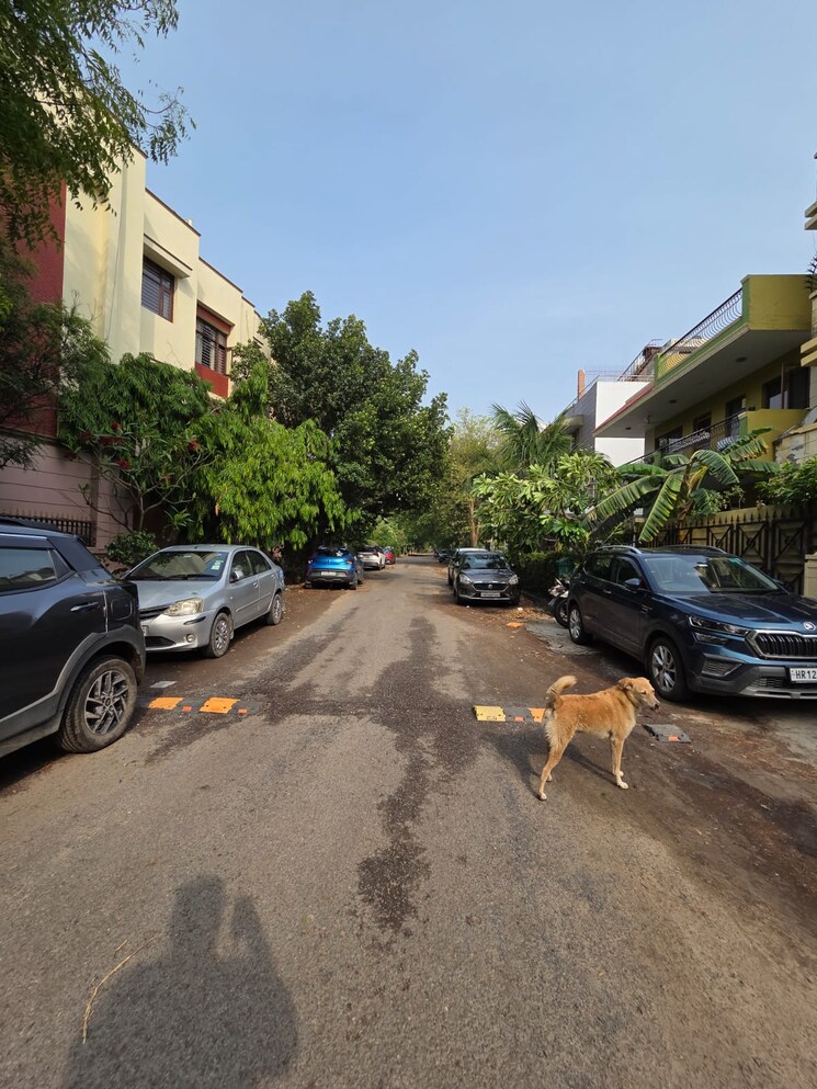 Exterior View, sector 23a 3 Bedroom 1800 Sq.Ft. Apartment In Sector 23a Gurgaon 8687799