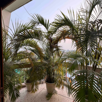Balcony in 4 BHK Builder Floor at Kailash Colony – for Rent