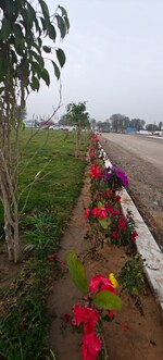 500 Sq.Yd. Plot in Shree Sagar City