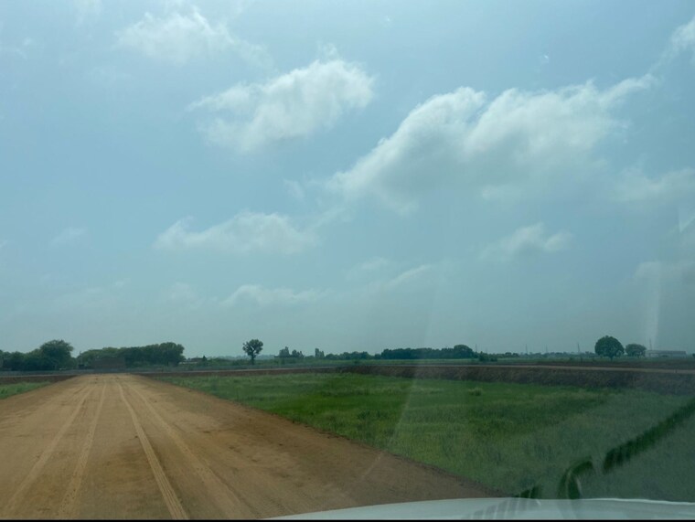 undefined, hathin  100 Sq.Yd. Plot In Hathin Palwal 8688088