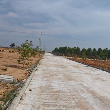 Plot Area in  Plot at Fortune Crystal, Amangal – for Sale