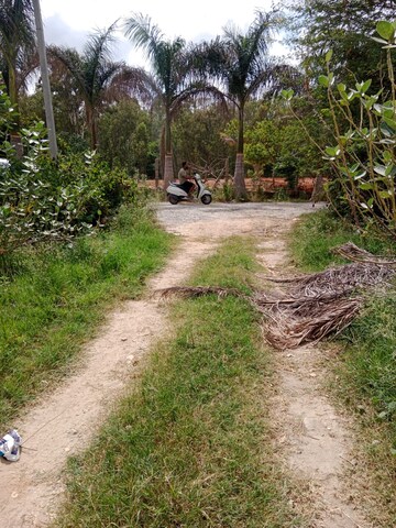 Plot Area in  Plot at Sarjapur – for Rent