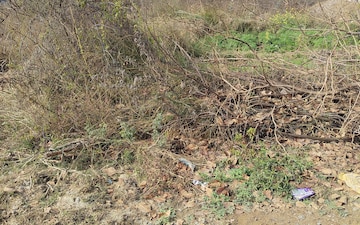 Plot For Sale in Sector 02