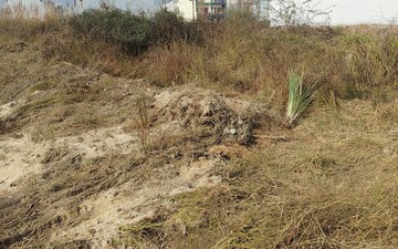 Plot For Sale in Sector 02