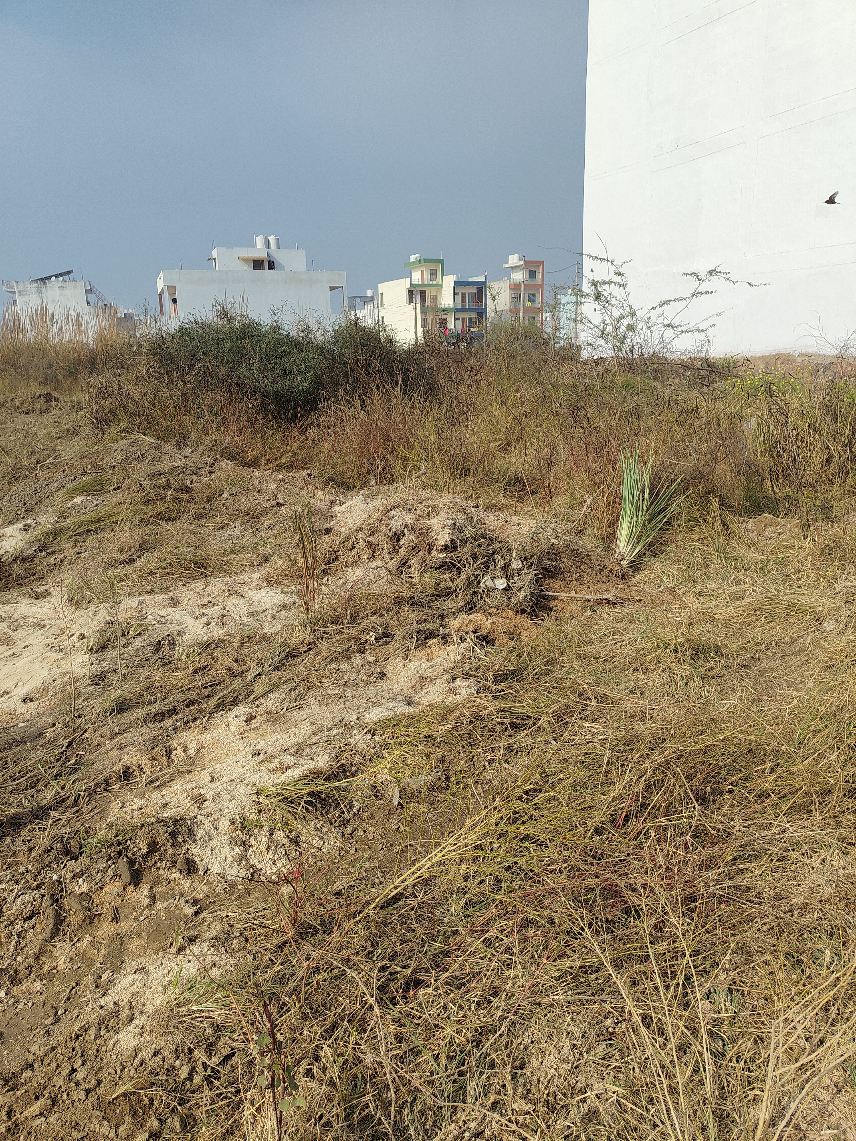 Plot For Sale in Sector 02