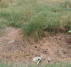  Plot For Sale in Sector 02