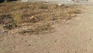  Plot For Sale in Manish Nagar