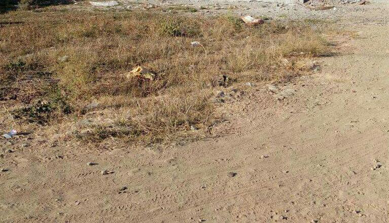 Plot For Sale in Kashvi Group Of Companies