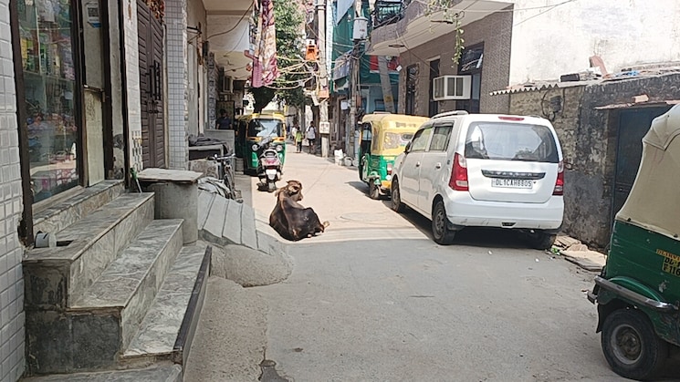 Exterior View, sangam vihar 4 Bedroom 900 Sq.Ft. Independent House In Sangam Vihar Delhi 8688869