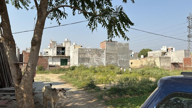 Cover Image, kanwara village  100 Sq.Yd. Plot In Kanwara Village Faridabad 8689077