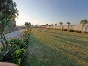 Plot Area in  Plot at Ringnodiya – for Sale