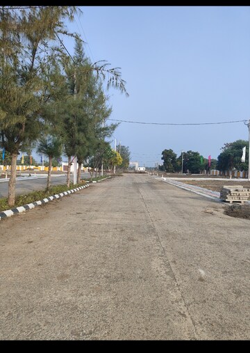 Plot Area in  Plot at Datoda – for Sale