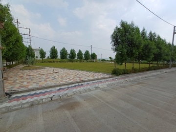 Plot Area in  Plot at Ringnodiya – for Sale