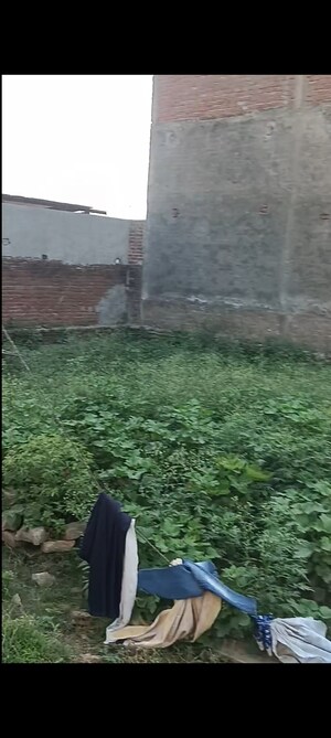 Plot Area in  Plot at Kalindi Kunj – for Sale