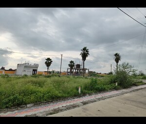 Plot Area in  Plot at Ringnodiya – for Sale